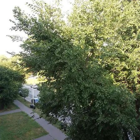 Szava Angel * Budapeszt